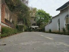-广东紫坭糖厂(桥头路)
