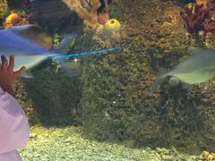 -沙沙哗啦海洋馆(华宇百花谷店)