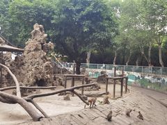 -成都动物园