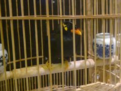 -到家尝北京菜(西坝河店)