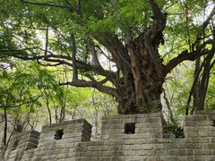 -青檀寺景区