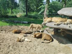 -北京野生动物园