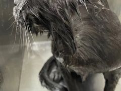 -宠颐生中康贝怡动物医院