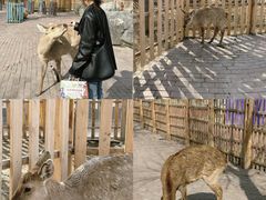 -水上乐园·欢乐世界