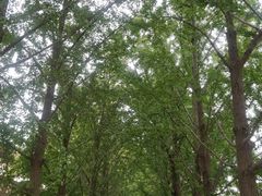 -管氏翅吧(护国寺店)
