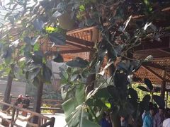 -海南槟榔谷黎苗文化旅游区