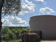 -鄂尔多斯野生动物园