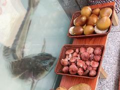 -草墩罗非鱼庄•野生菌•腊排骨(七星街上段店)