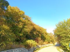 -北京西山国家森林公园