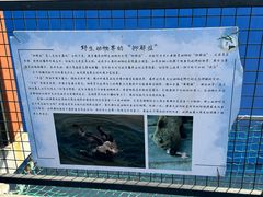 -青藏高原野生动物园