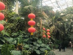 -郑州植物园