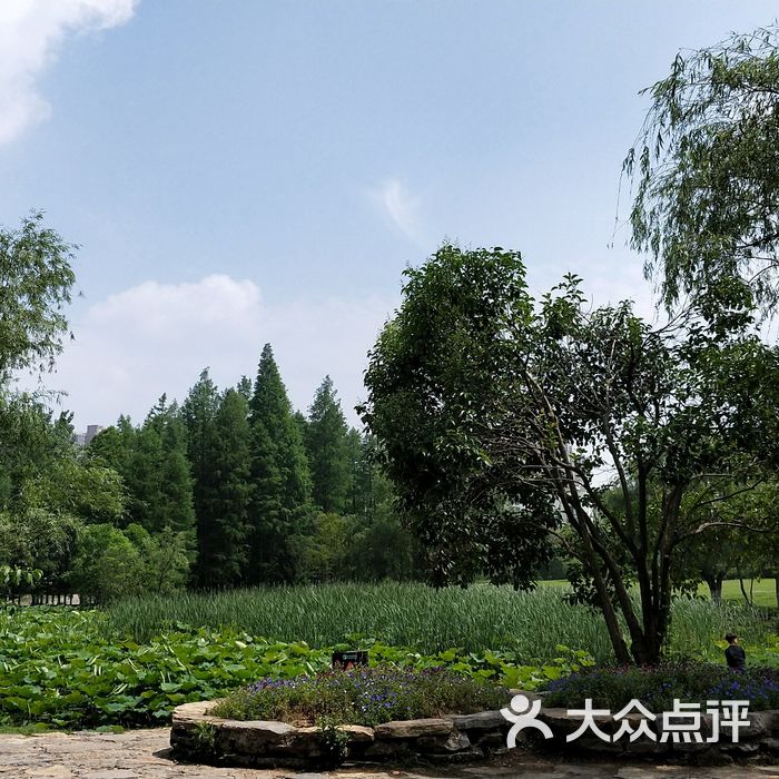 合肥植物園