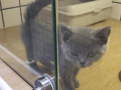 -熊小胖宠物生活馆(天华园店)