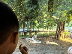 -大连森林动物园