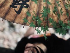-新洲生态园
