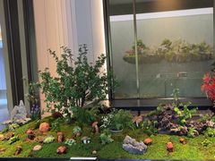 -外滩·云南人家(昆明旗舰店)