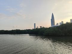 -深圳湾公园(南山区)