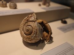 -上海中国航海博物馆