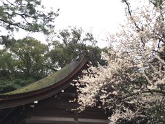 -热田神宫