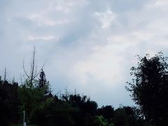 -仙海旅游度假区