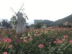 -玫瑰海岸文化旅游度假区