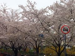 -W CAFE(甜爱路店)