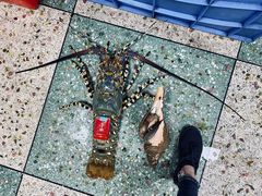 -金源餐馆