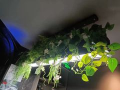 -仟汇足道·SPA(秀洲总店)