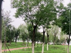 -天津东丽湖风景区