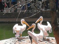 -昆明动物园