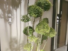 -花锦堂·隐庐