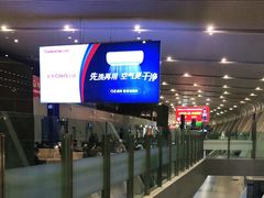 -合肥新桥国际机场-航站楼