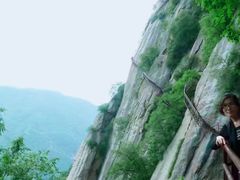 -陕西省红河谷森林公园