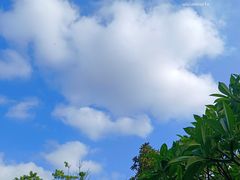 -莲花山公园