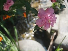 -海窝子古镇