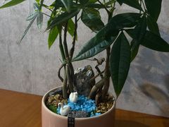 -汉堡双倍·喜鹊堡