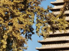 -北京石刻艺术博物馆(五塔寺)