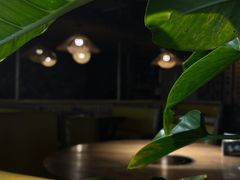 -老号尤兔头(幸福店)