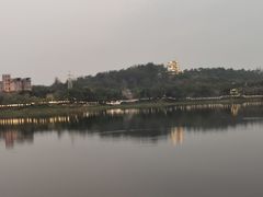 -广东花都湖国家湿地公园