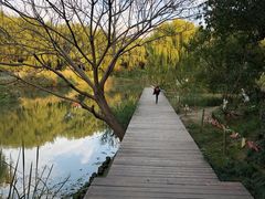-昆山城市生态森林公园