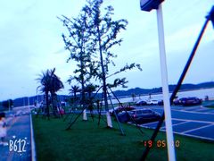 -柳湖沙月沙滩公园