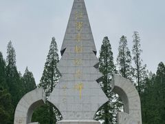 -水杉园