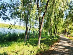 -大兴滨河森林公园