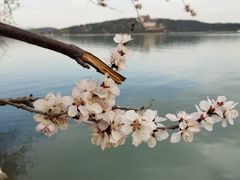 -颐和园
