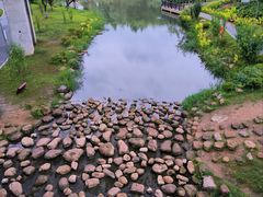 -洋湖国家湿地公园