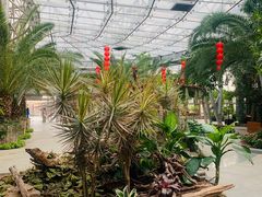 -北京植物园-展览温室