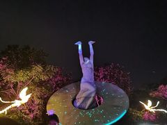 -沈阳植物园