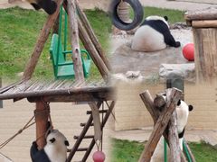 -石家庄市动物园