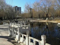 -丰台科技园生态主题公园