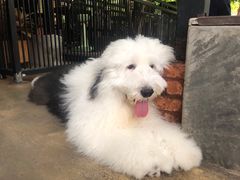 -TrueLove @ Neverland (Husky Cafe)